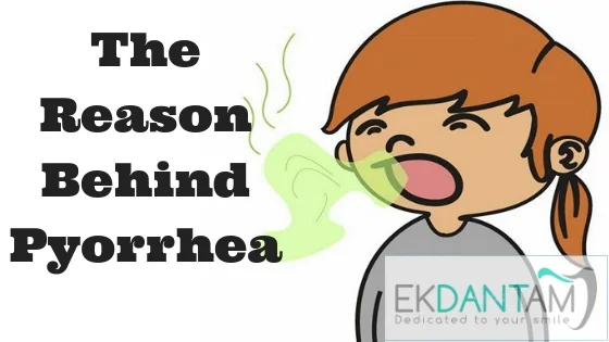What Is Pyorrhea